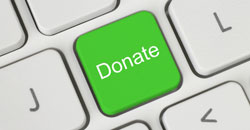 donate button fundraiser